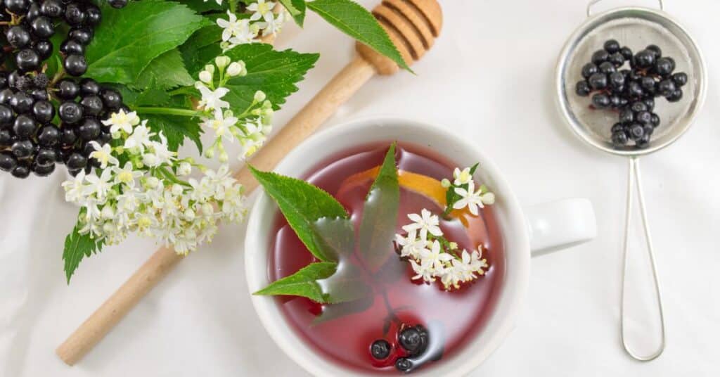 hot cup of elderberry tea