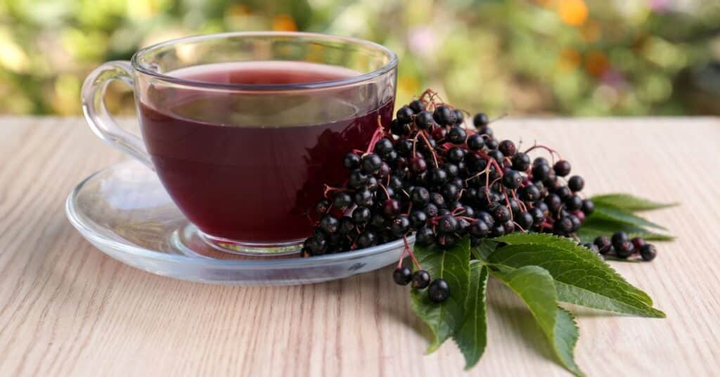 cup of elderberry tea