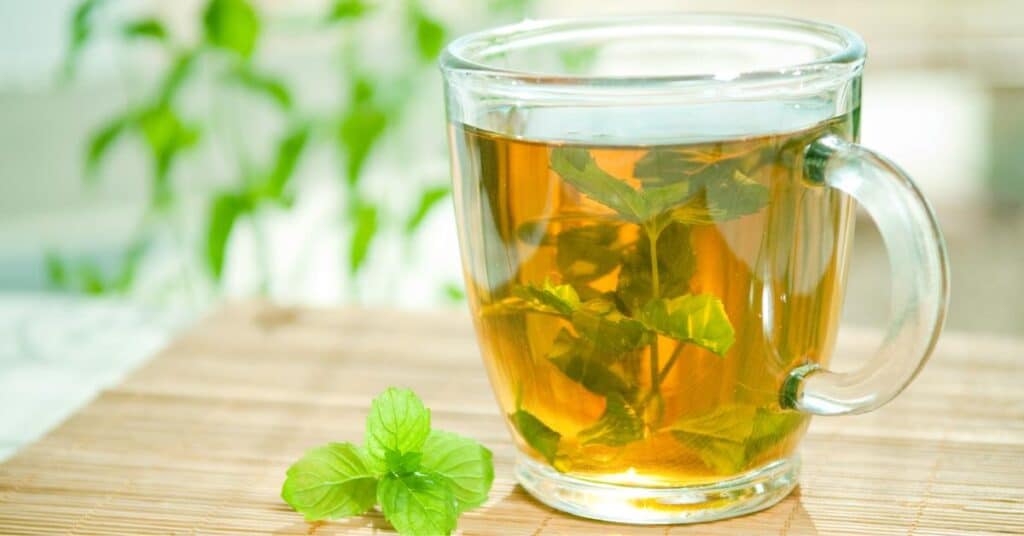 spearmint tea