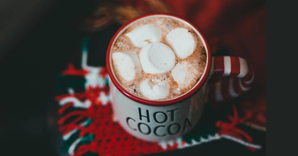 cup of hot chocolate with marshmallows