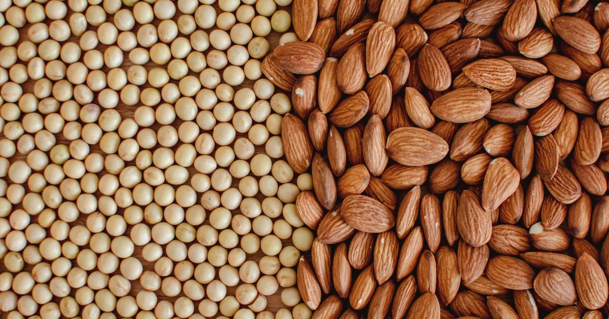 A Comprehensive Look at Soy Milk vs Almond Milk