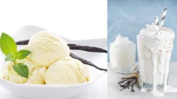 French vanilla vs vanilla bean