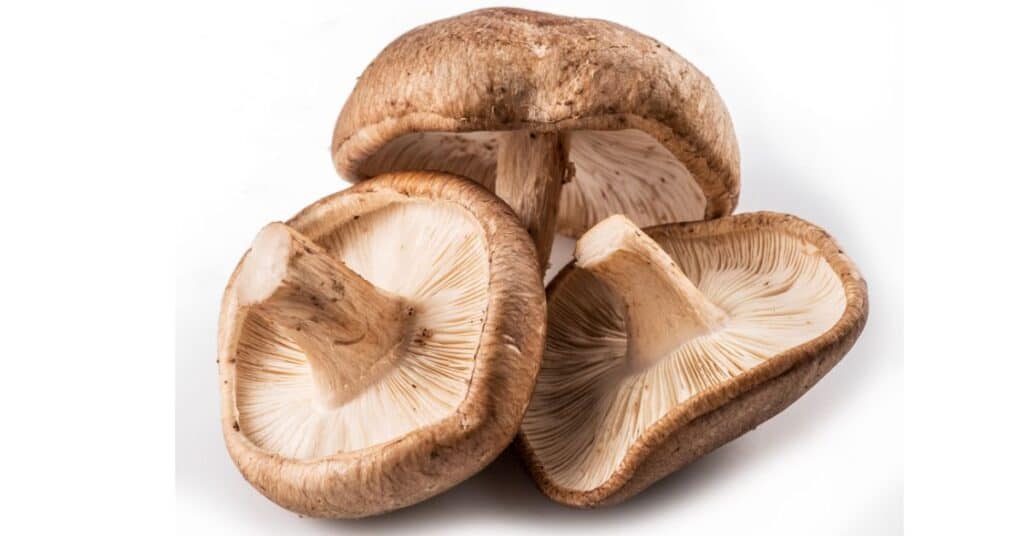 Shiitake Mushrooms