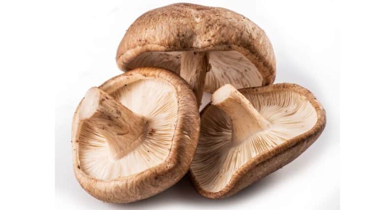 Shiitake Mushrooms