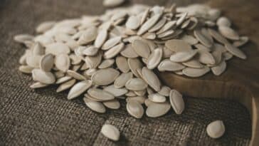 pumpkin seeds