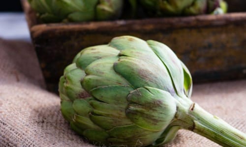 artichoke