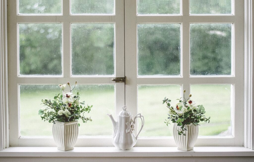 window with plants on the window sill