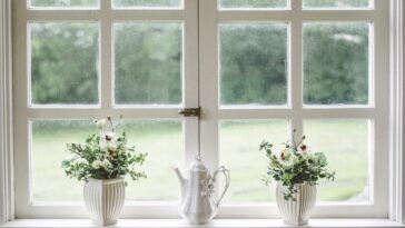 window sill with plants