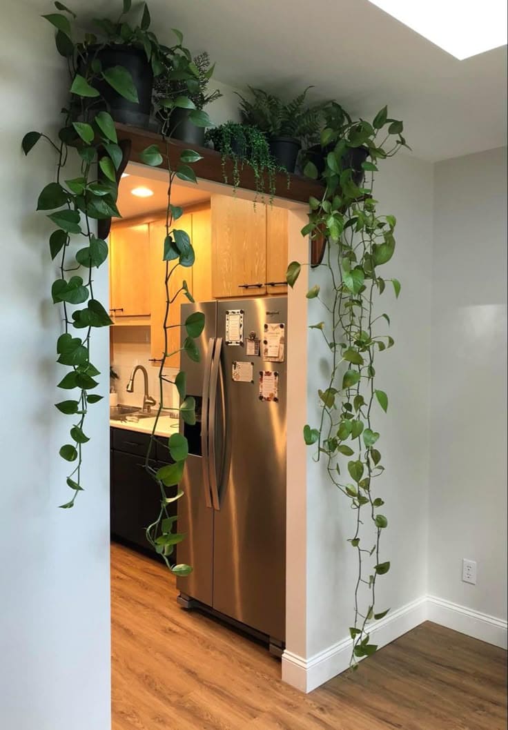 Cascading Kitchen Plant Arch