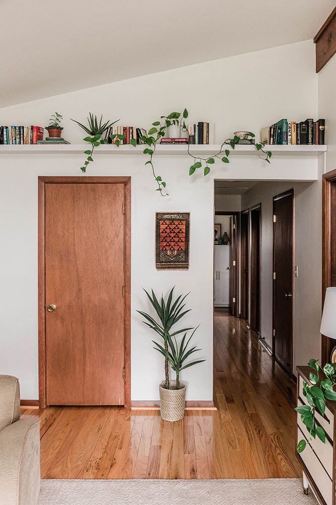 Charming Bookshelf Plant Accent