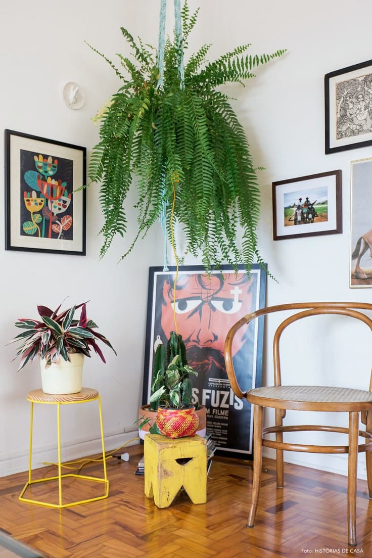 Eclectic Hanging Fern Corner