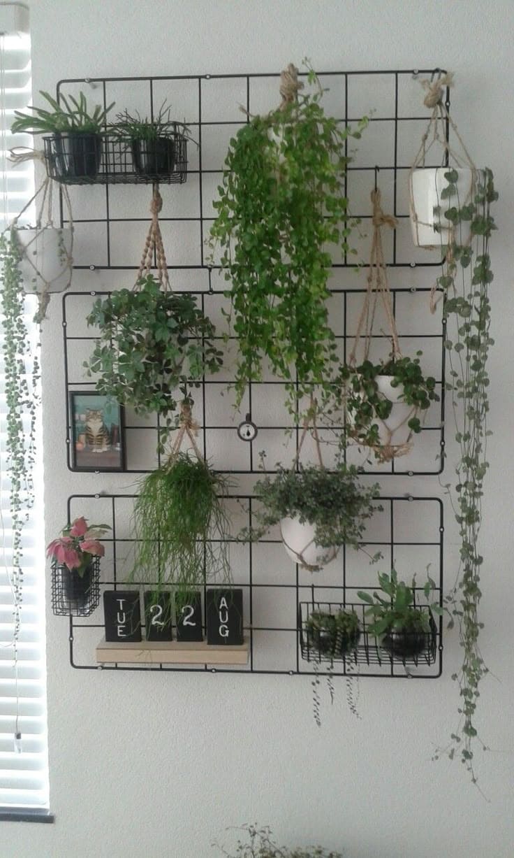 Lush Grid Plant Organizer