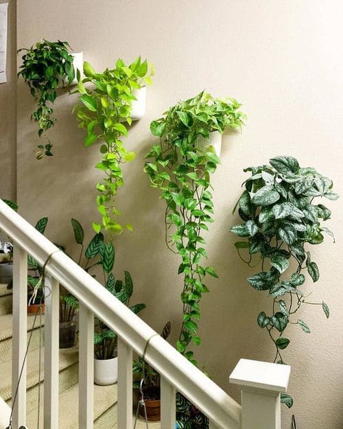 Lush Stairway Plant Cascade