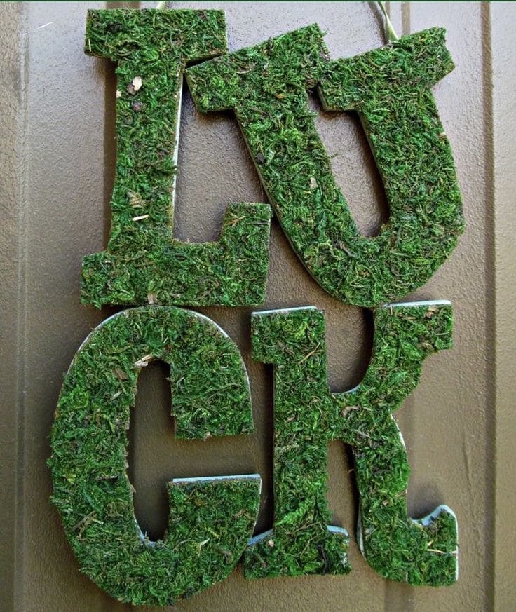 Mossy 'LUCK' Door Decoration
