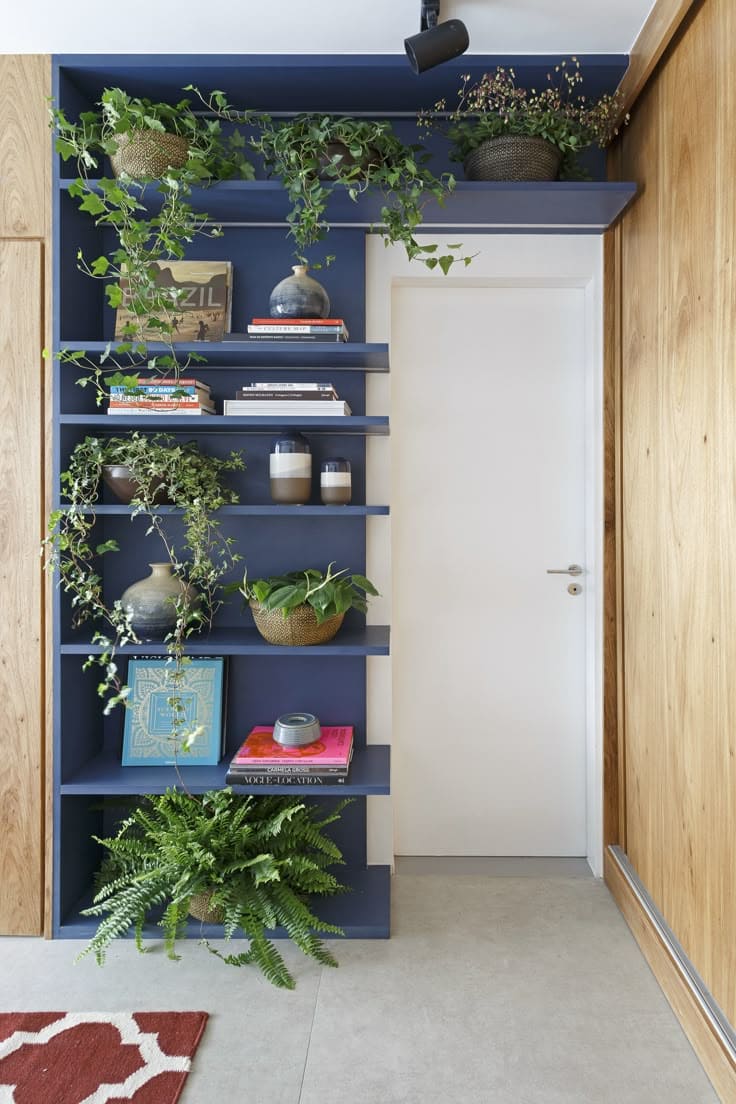 Stylish Blue Shelved Plant Wall