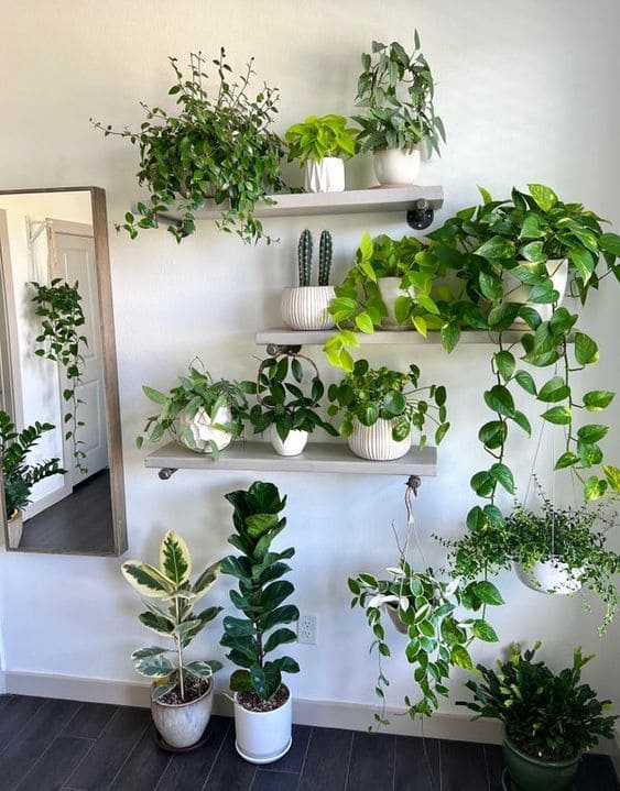 Verdant Shelved Plant Haven
