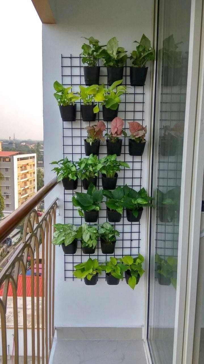 Vibrant Balcony Grid Garden