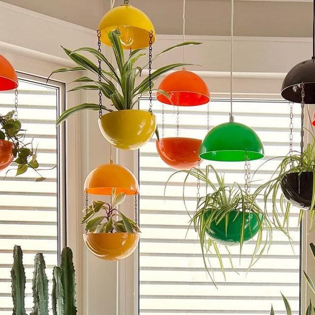Vibrant Hanging Plant Display