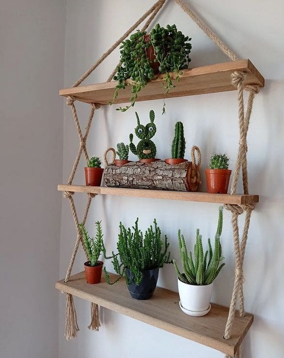 Lush Hanging Succulent Shelf