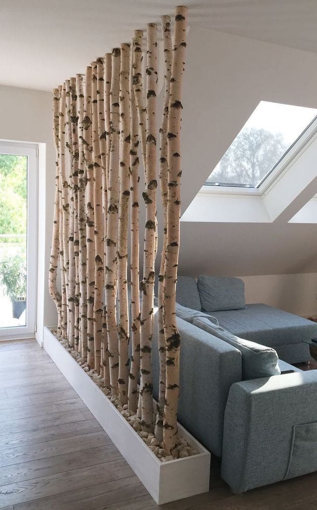 Birch Tree Divider Wall