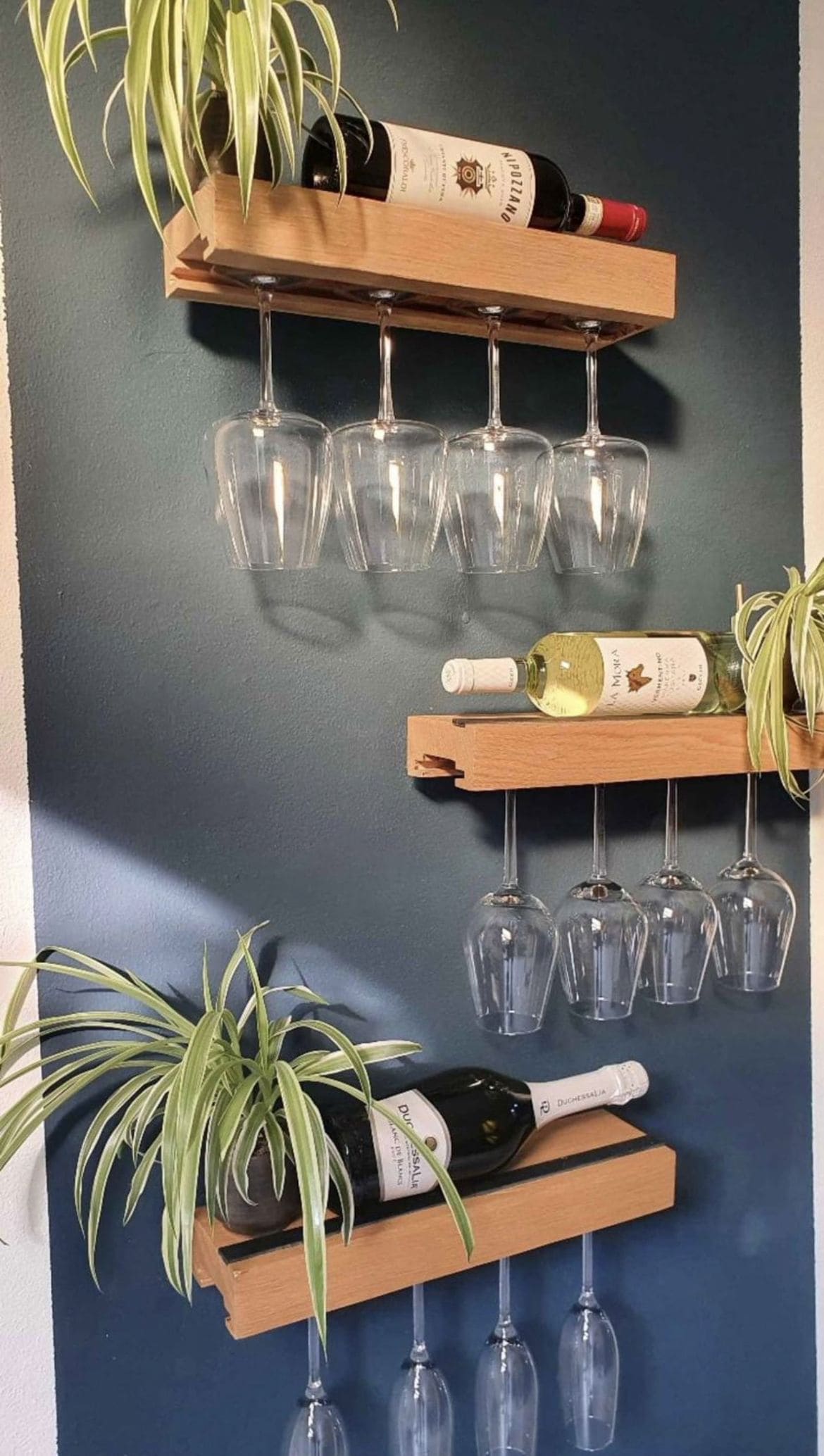 Minimalist Wall Racks with Wine and Plants