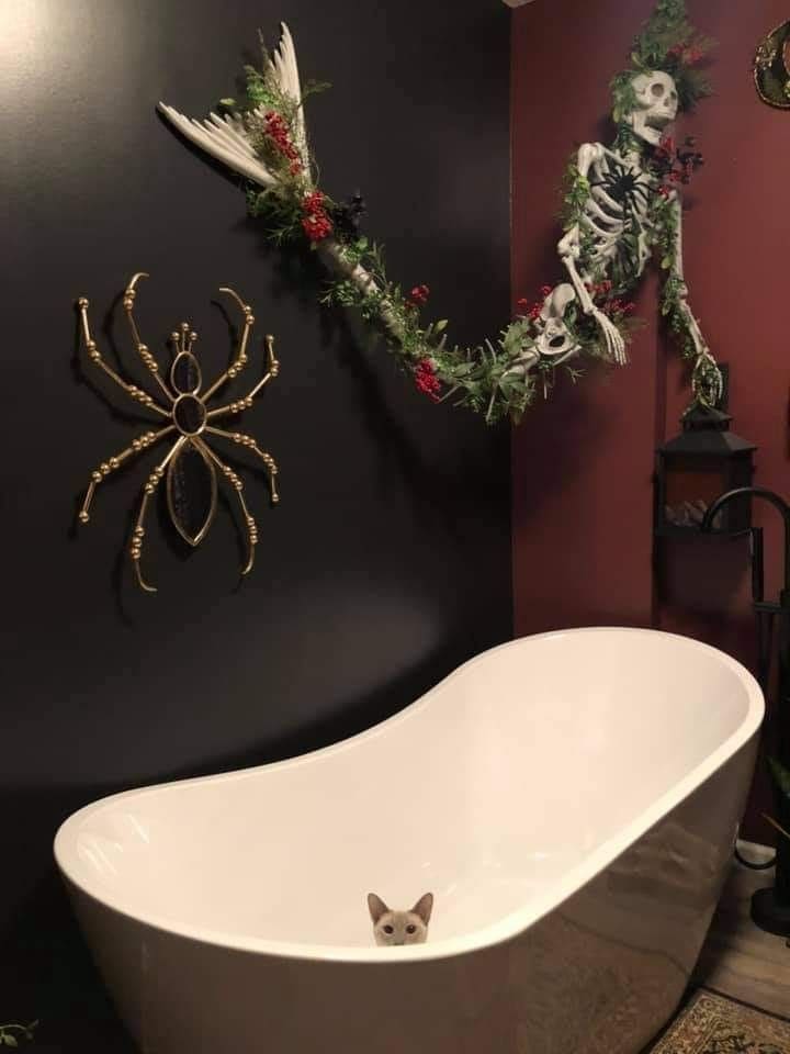 Skeleton Mermaid and Creepy Chic Bath