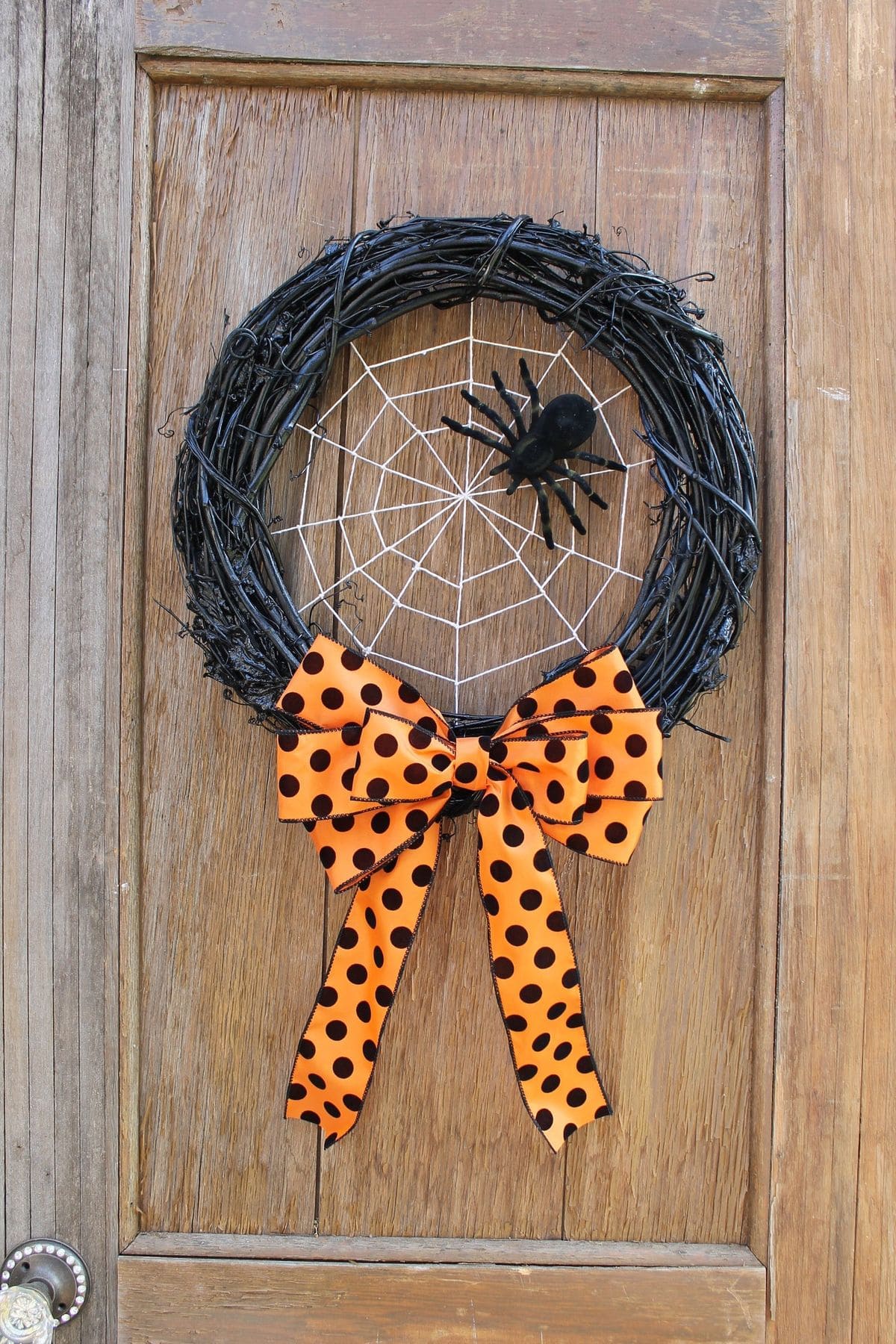 Spiderweb Chic with a Pop of Polka Dots
