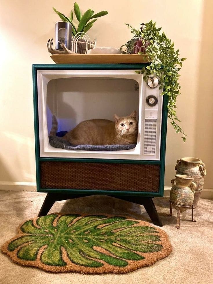 The Purr-fect Retro Roost