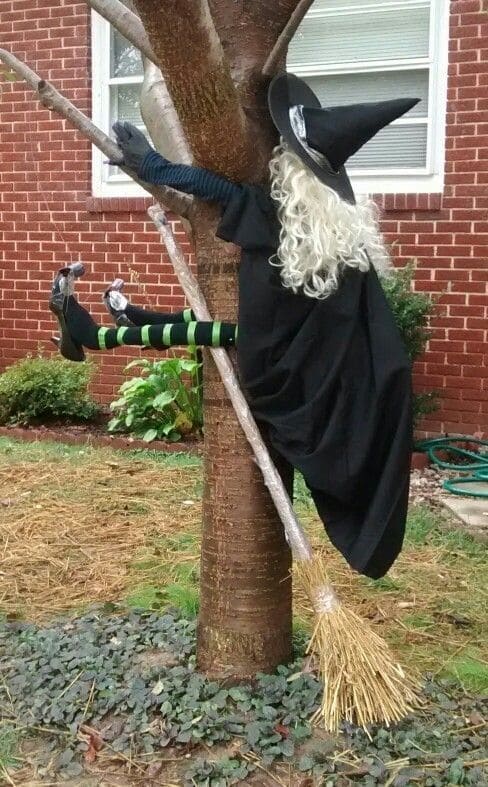 Witch Crash Tree Scene