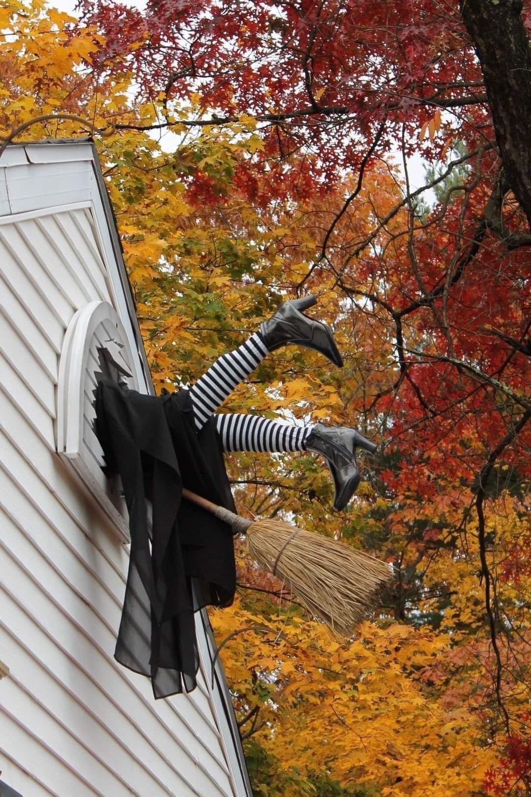 Witch Crash Window Display