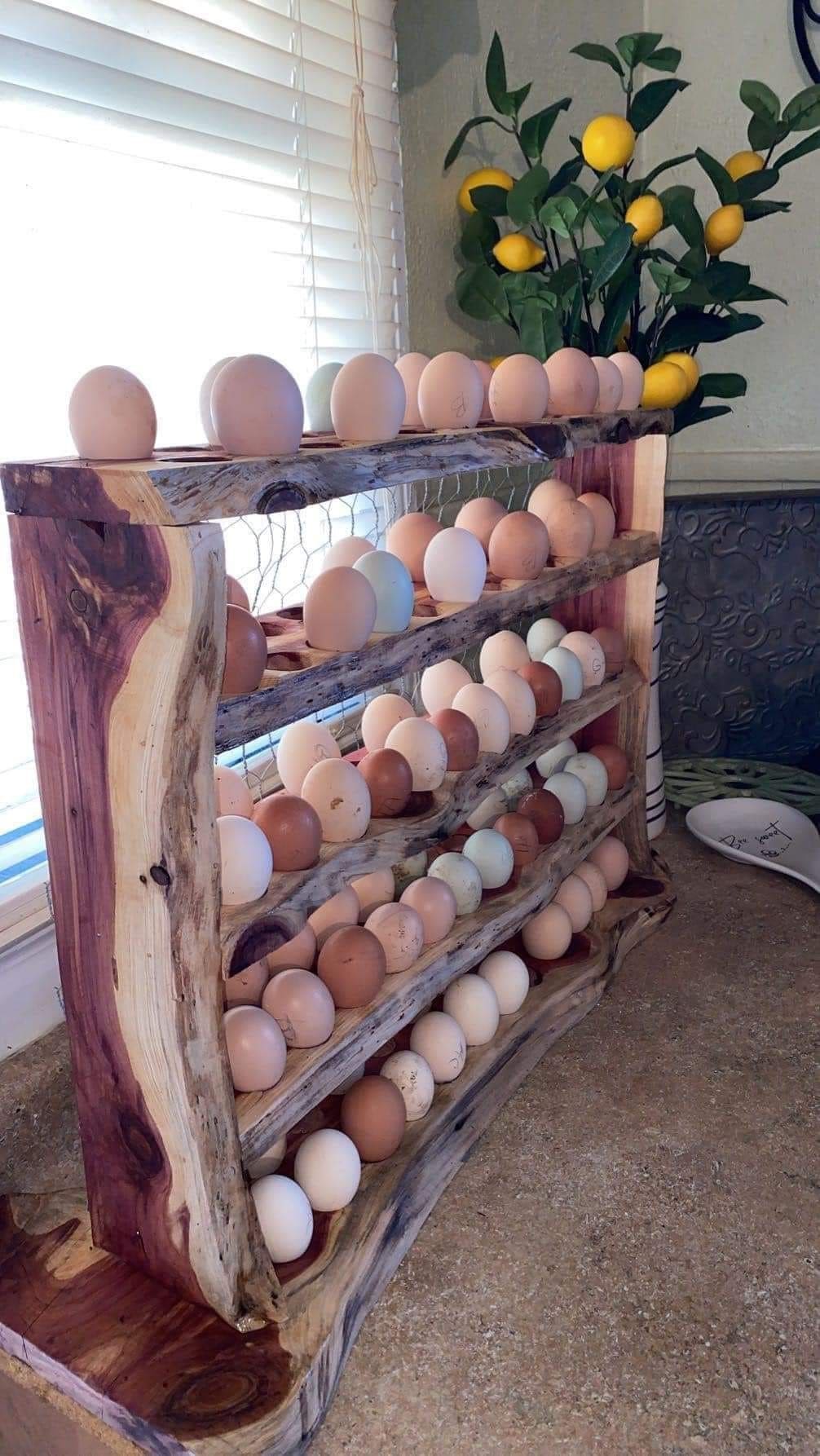 Rustic Wooden Log Egg Rack