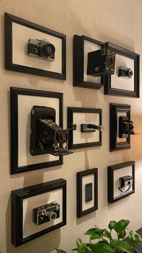 Timeless Cameras on Display