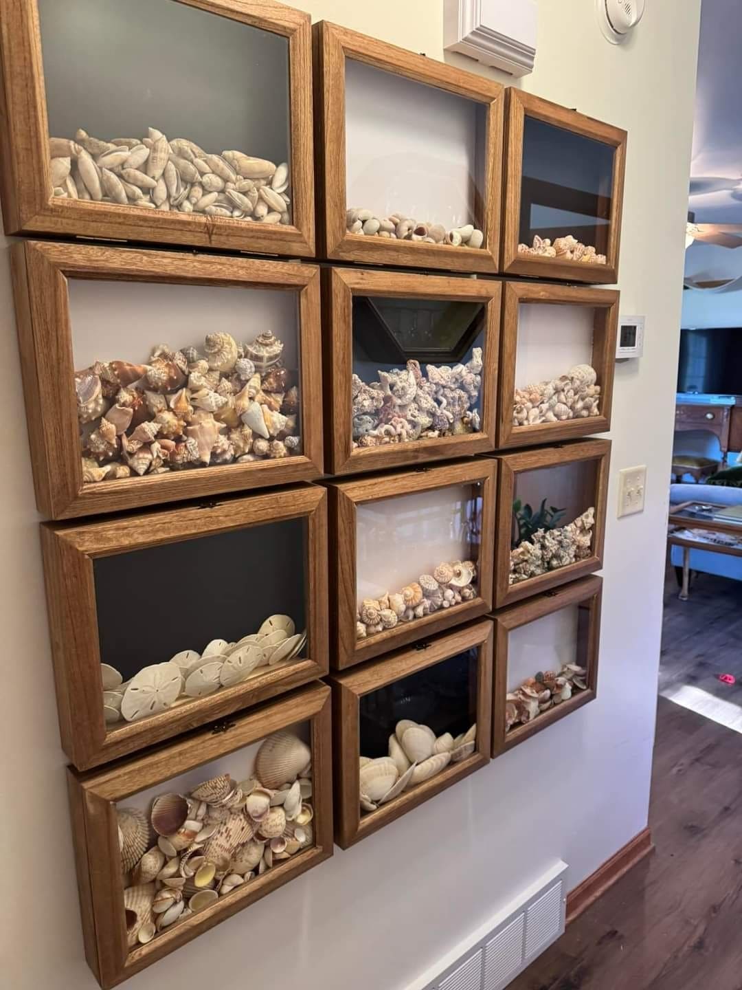 Treasures of the Seashell Gallery Wall