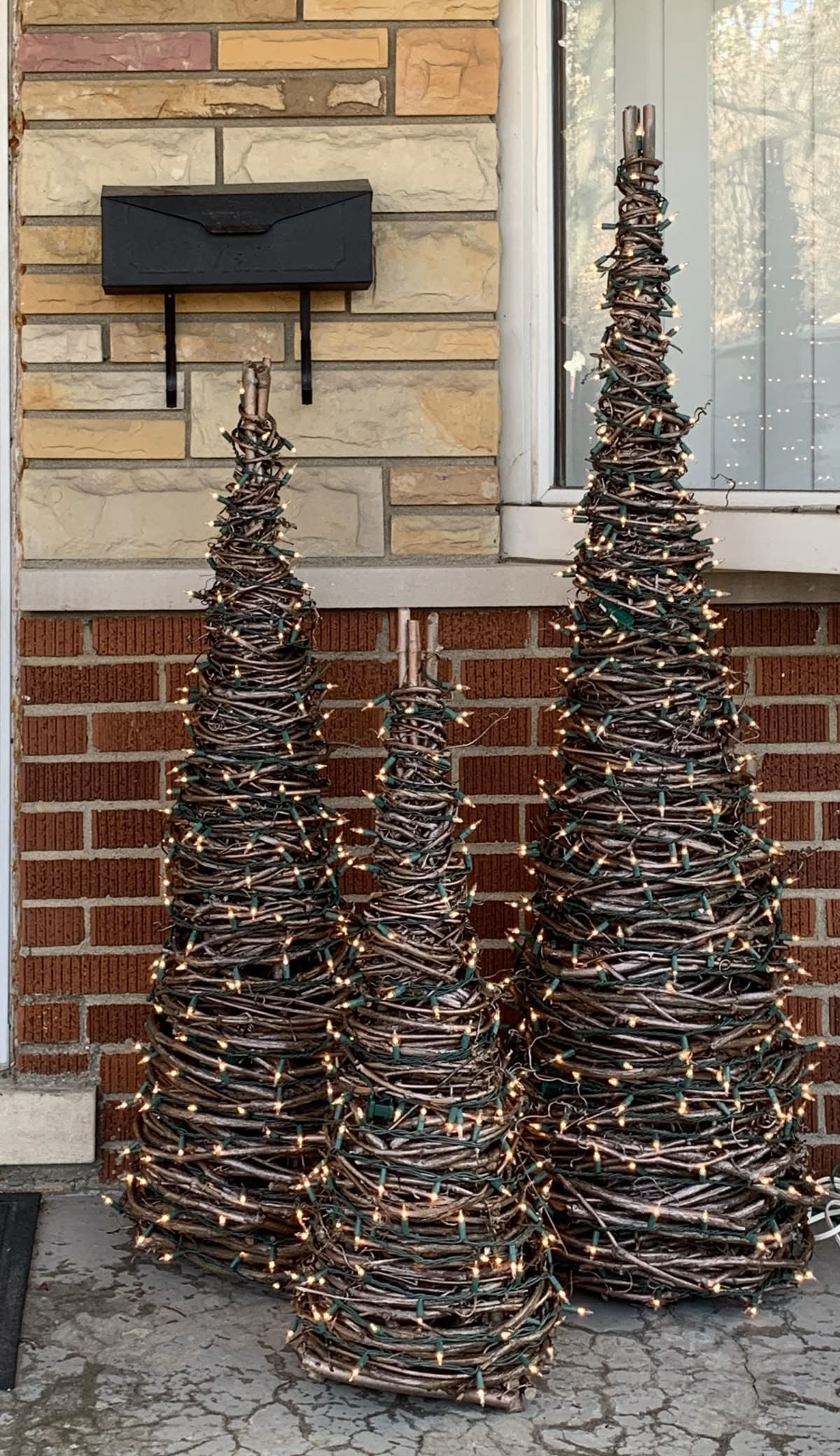 Twinkle-Touched Branch Cone Trees