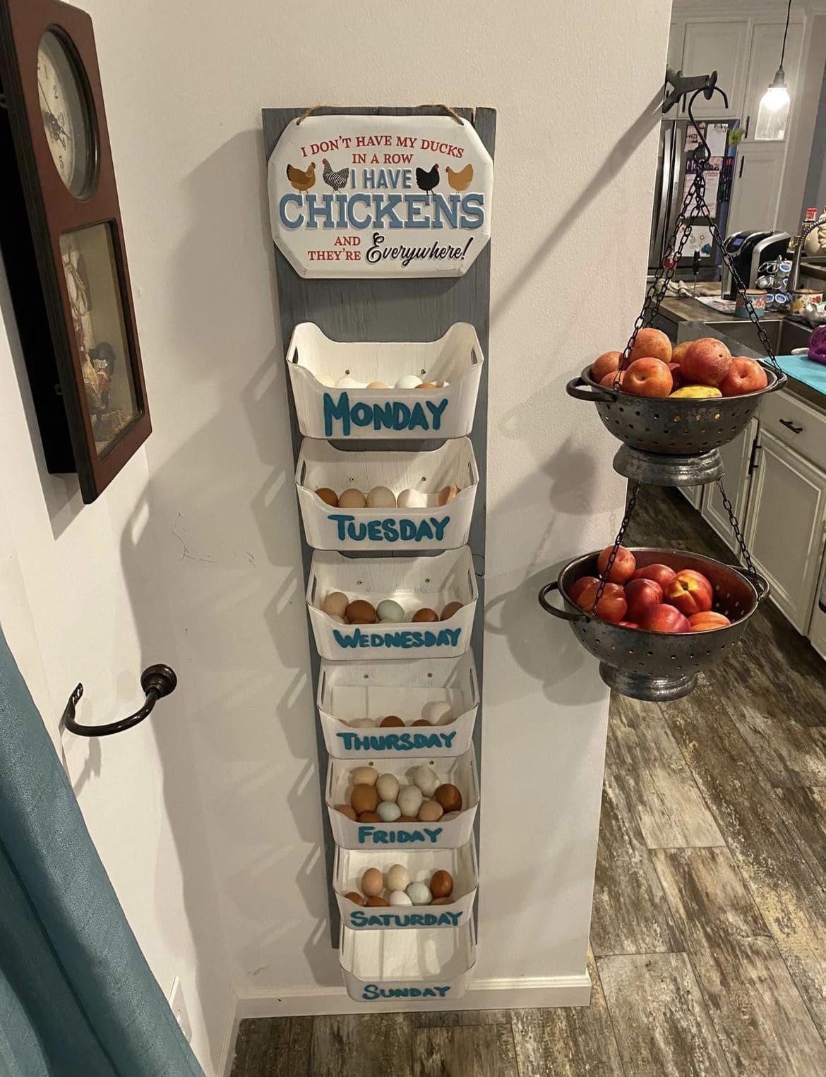 Weekly Egg Organizer Shelf