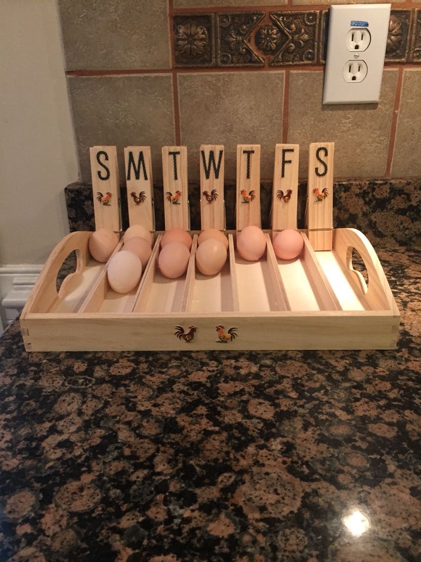 Weekly Egg Organizer Tray