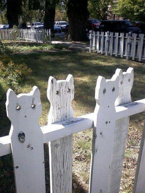 Whimsical Cat-Themed Fence Pickets