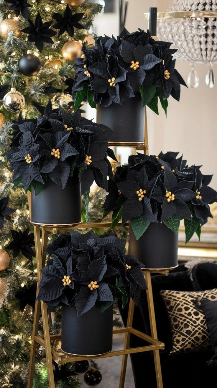 Chic Black Poinsettia Holiday Display