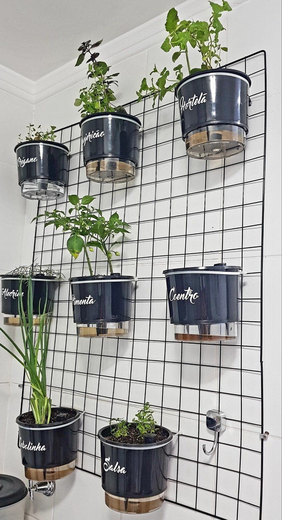 Grid Wall Herb Garden