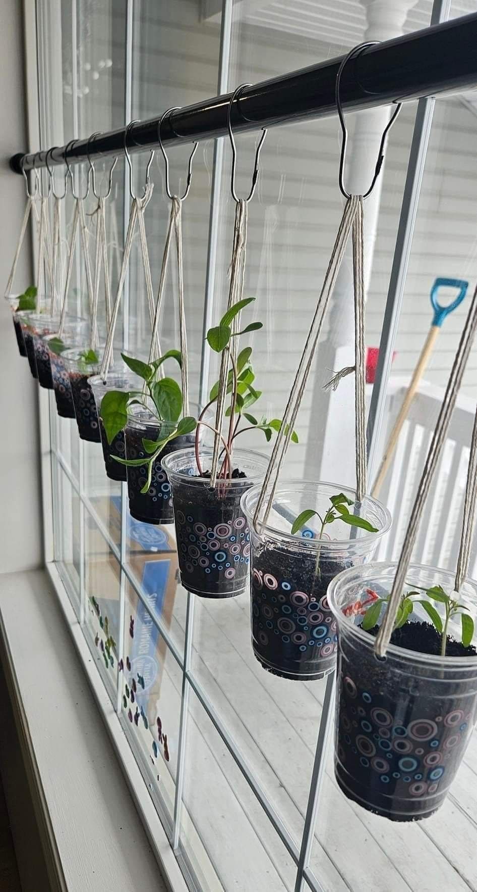Hanging Cup Herb Garden
