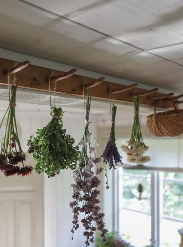 Hanging Herbs for a Green Kitchen