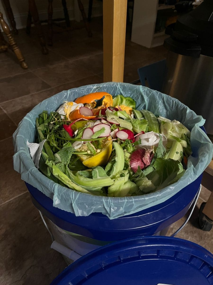 Kitchen Composting for a Greener Home