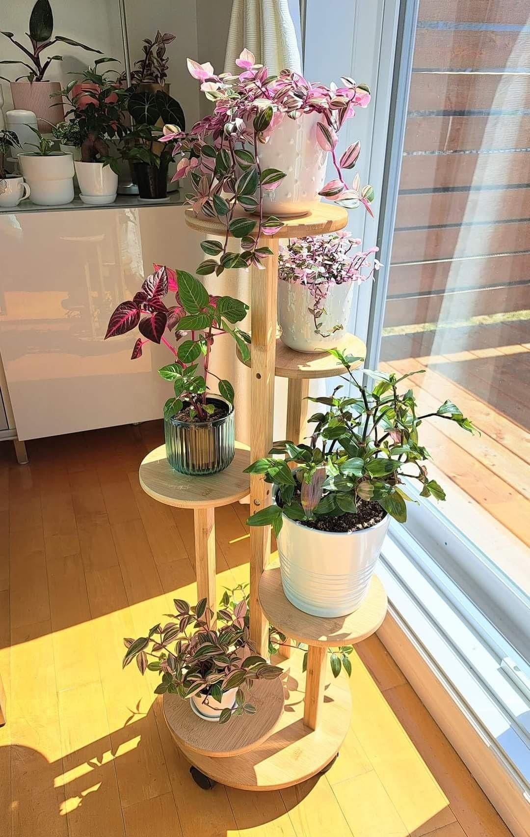 Multi-Tier Wooden Plant Stand