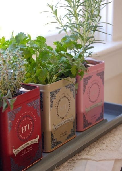 Repurposed Tea Tin Herb Planters