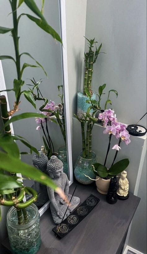 Tranquil Zen Orchid and Bamboo Corner