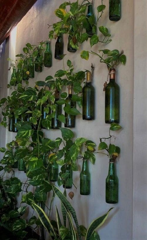 Wall Garden with Recycled Bottles