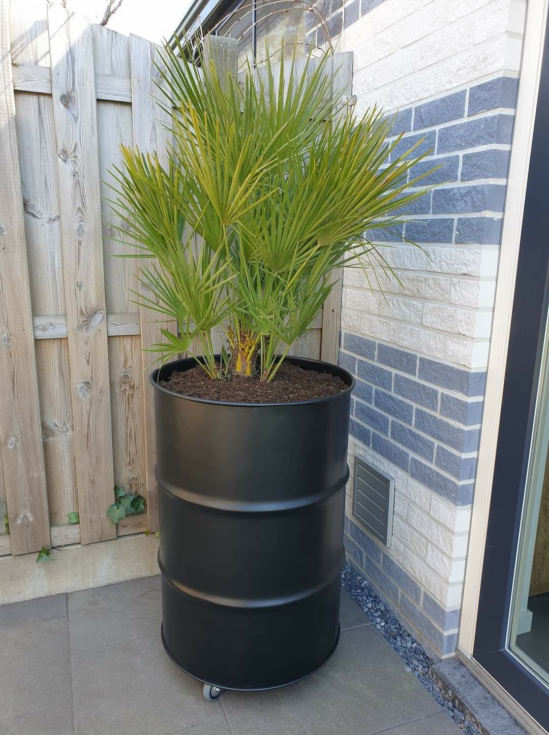 Industrial-Style Oil Drum Planter on Wheels