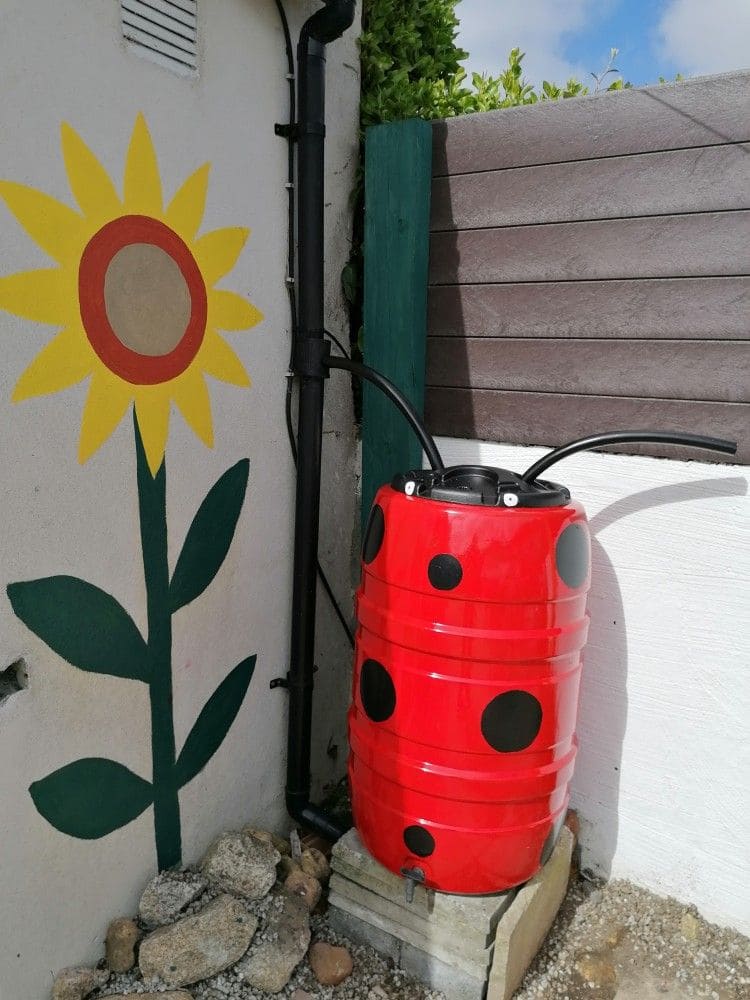 Ladybug Rain Barrel Charm