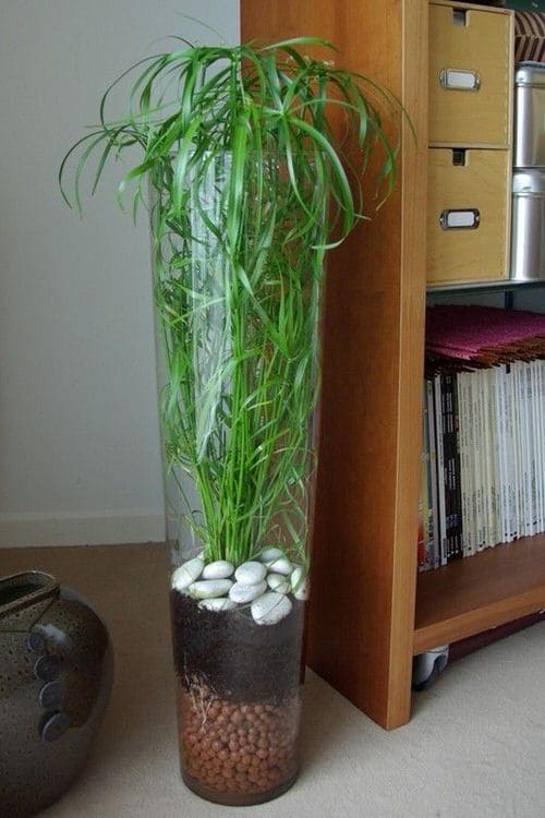 Modern Glass Vase with Layered Greenery