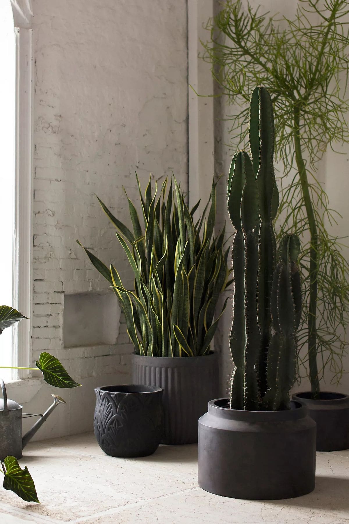 Modern Minimalist Planters with Tall Greens